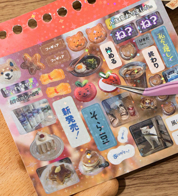 Libro de Pegatinas con Espiral – 48 Páginas